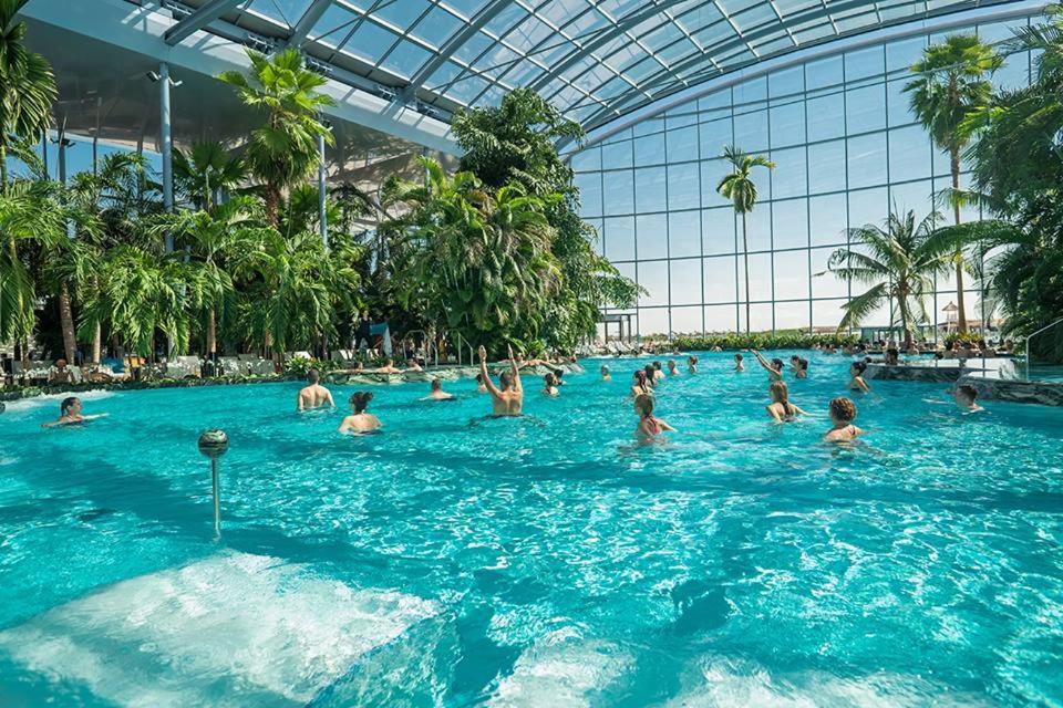 Casuta Bradulet - Aeroport Otopeni & Therme 발로테슈티 외부 사진